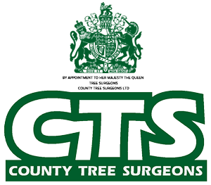 County Tree Surgeons